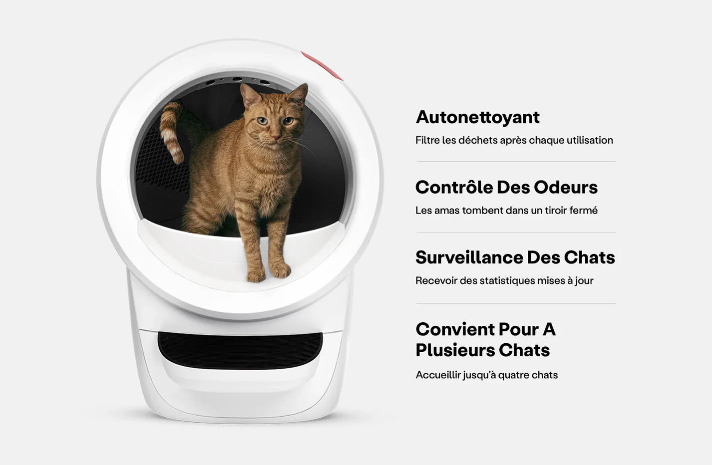 Bac à litière pour chat autonettoyant - Confort et Hygiène