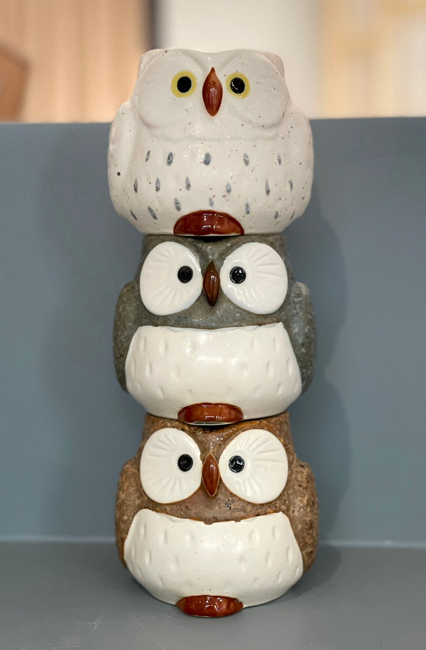 Owl Cup - Brown